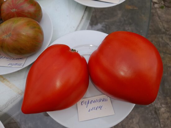 Гигантский меч